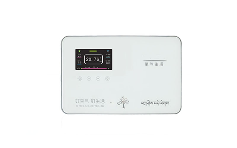 蛟河弥散供氧系统终端